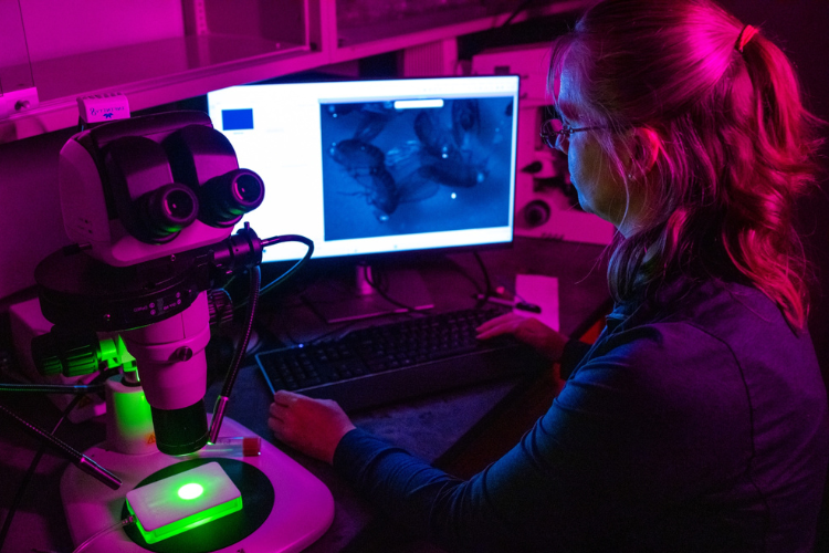 Maria Spletter in research lab.